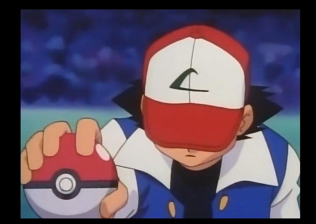 22年过去了小智总算是夺冠了