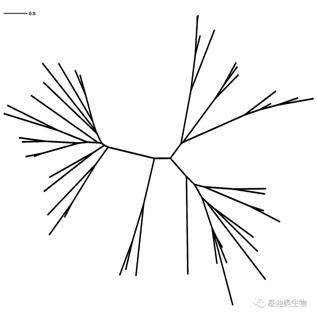 如何轻松画出好看的蛋白进化树 - 知乎