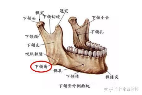 降头师电影