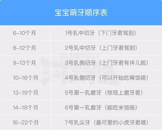 下面为大家讲解"萌牙期的那些事"!