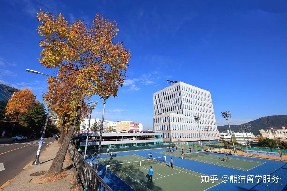 地方有著很多非常好的國立大學,比如釜山大,全北大,忠南大學等等,教育