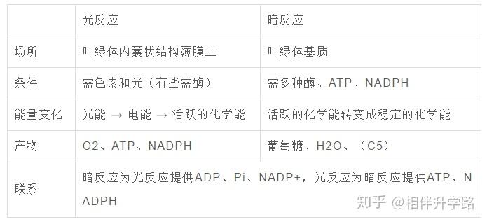 高中生物:必修+选修177个考点,一起整理给你,建议收藏! - 知乎