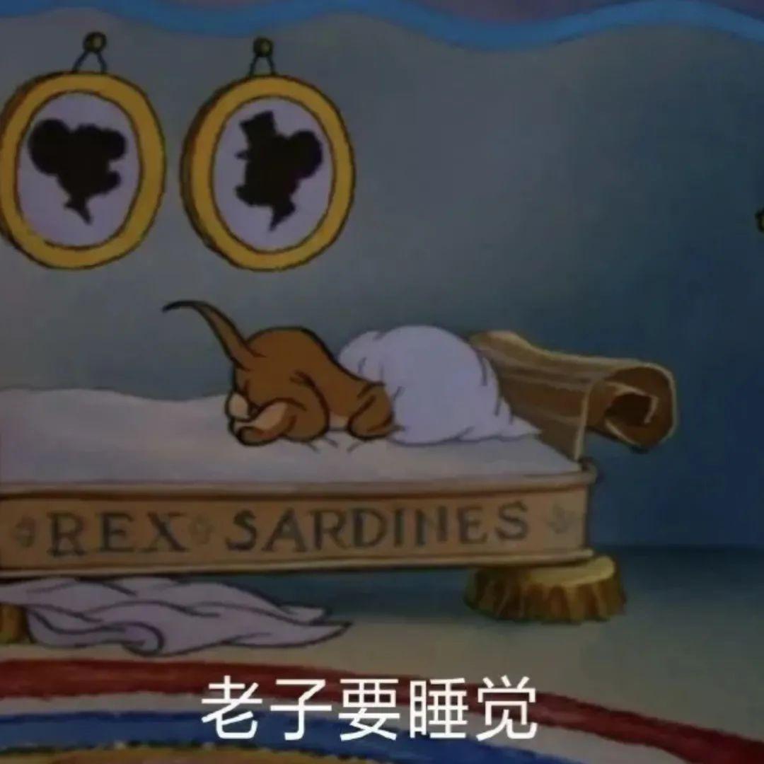 有没有猫和老鼠的表情包(尽量可以在班级使用)? - 知乎