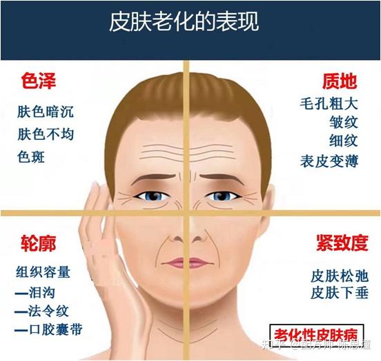 皮肤衰老的4个阶段——护理指南 - 知乎
