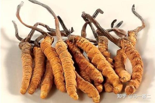 中医药文化|80种常用中药知识集锦 - 知乎