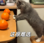 家有宝宝后,我才知道灭蚊这件事不能将就