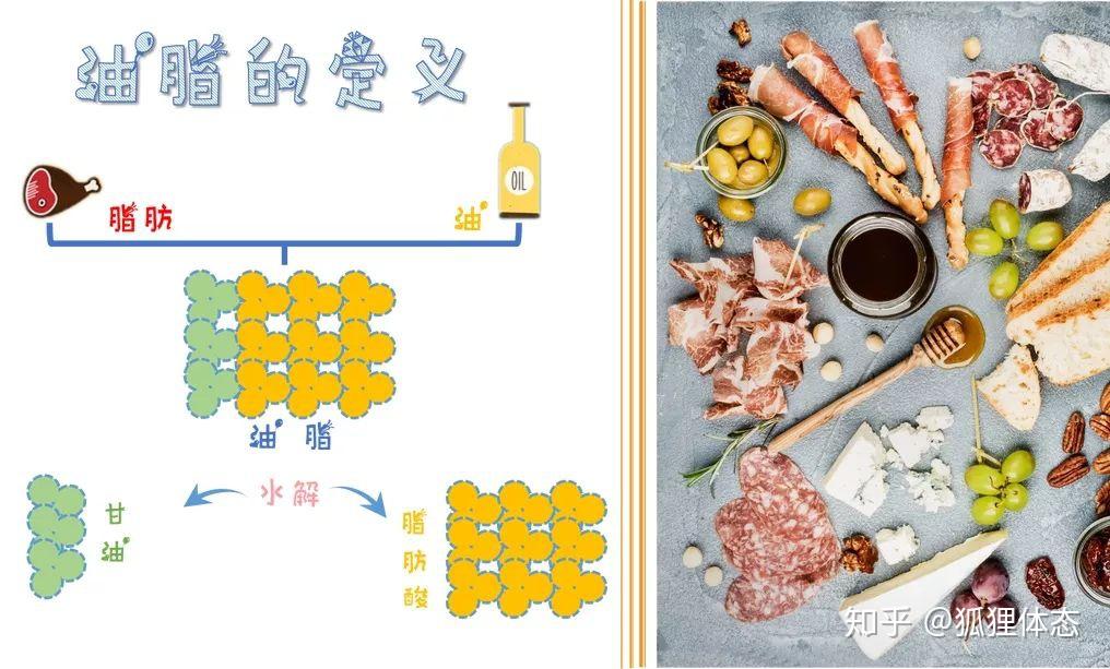 油脂是油和脂肪的合称,又称为三酸甘油酯,将油脂水解后就变成甘油和