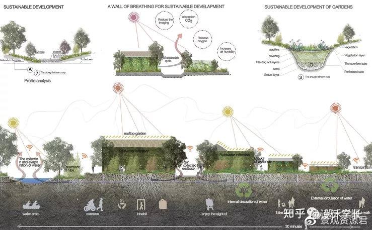 2021毕设配套素材10丨植物分析psd大汇总 - 知乎