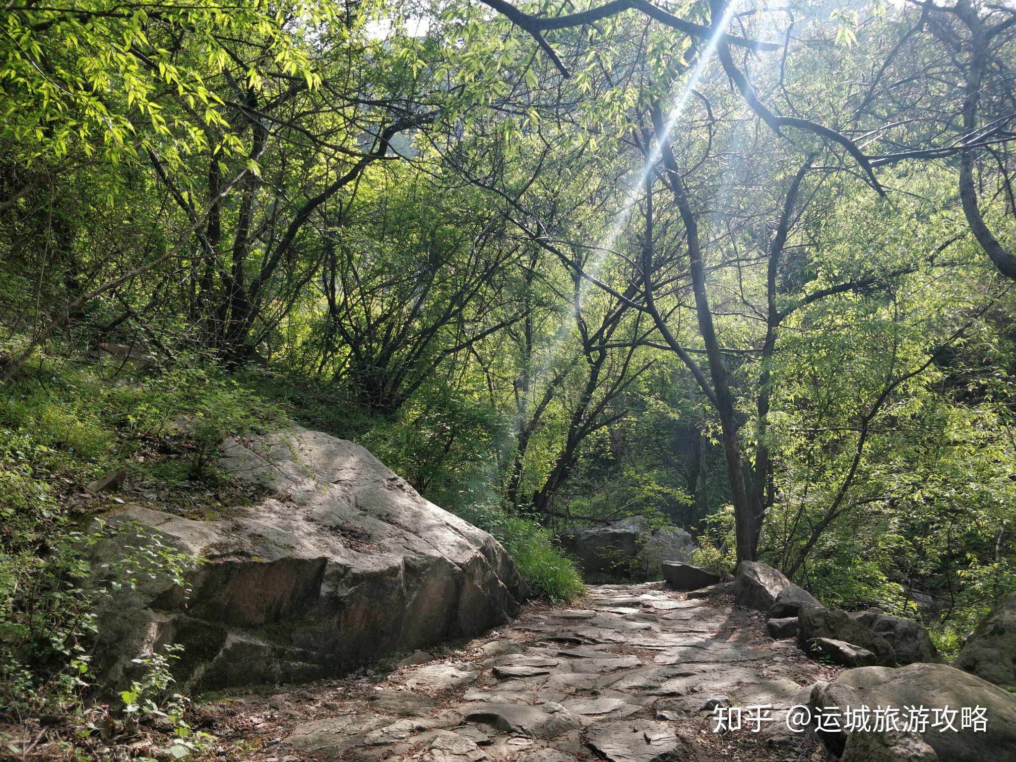 又雙叒叕被雪花山攻陷啦