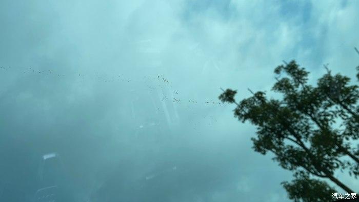 什么时候才能不刮风 v2-0803f37b60be5174e51e08ebc592e699_r.jpg