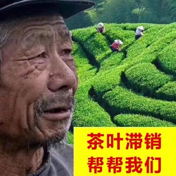 想谈甜甜的恋爱却被人当猪宰