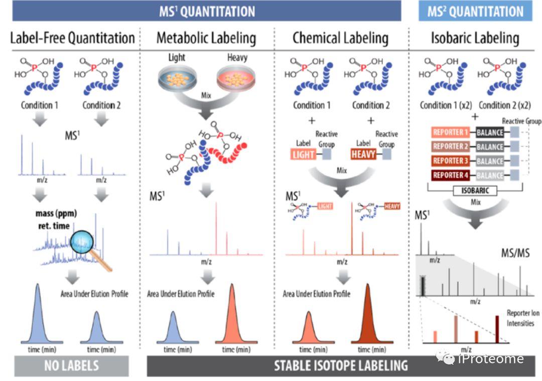 基于质谱的磷酸化肽段检测 - 知乎