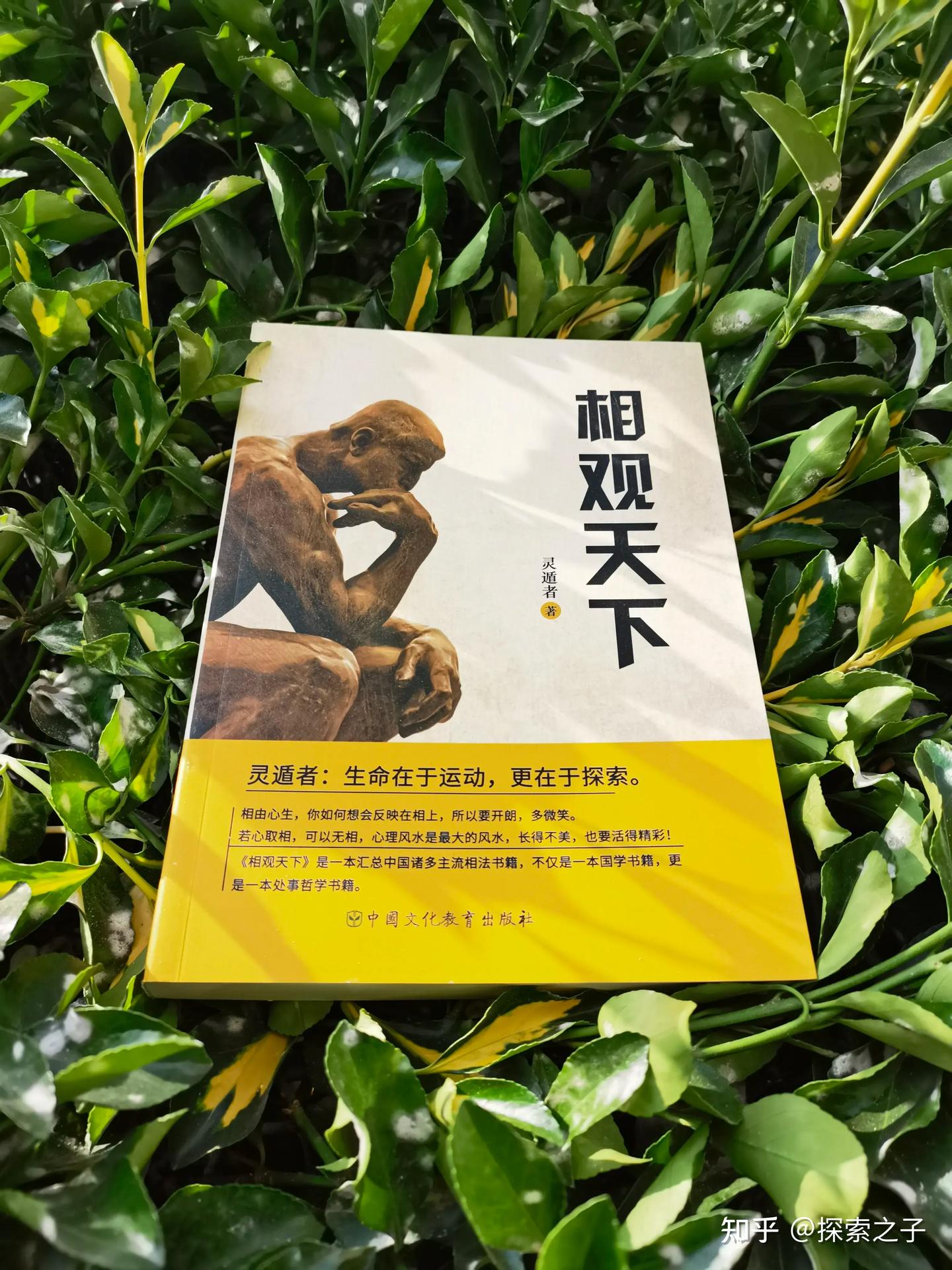大六壬：12地支和28星宿的关系- 知乎