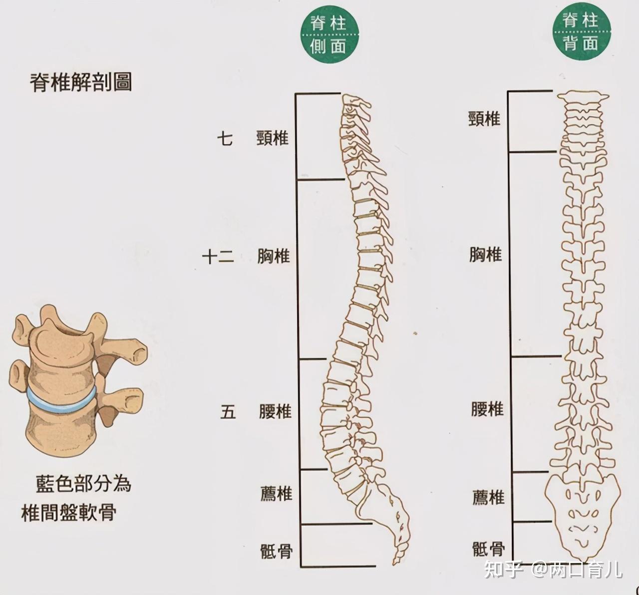 怀孕后就别再跷二郎腿了不仅对孕妇有利胎宝宝也会感激你