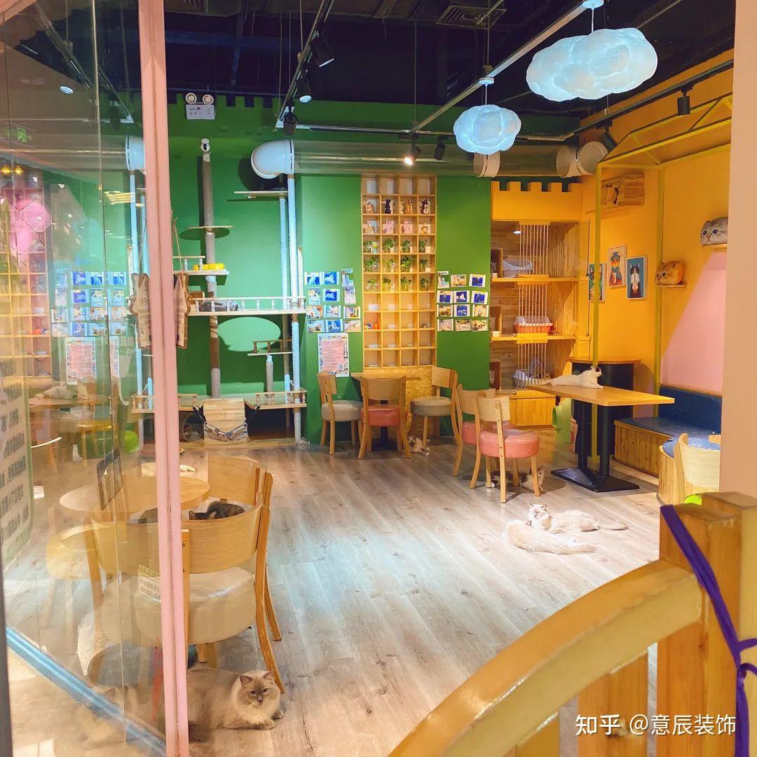 2020年Kach独自旅行:我去了日本东京秋叶原的一家猫咖啡馆! - bw必威betway