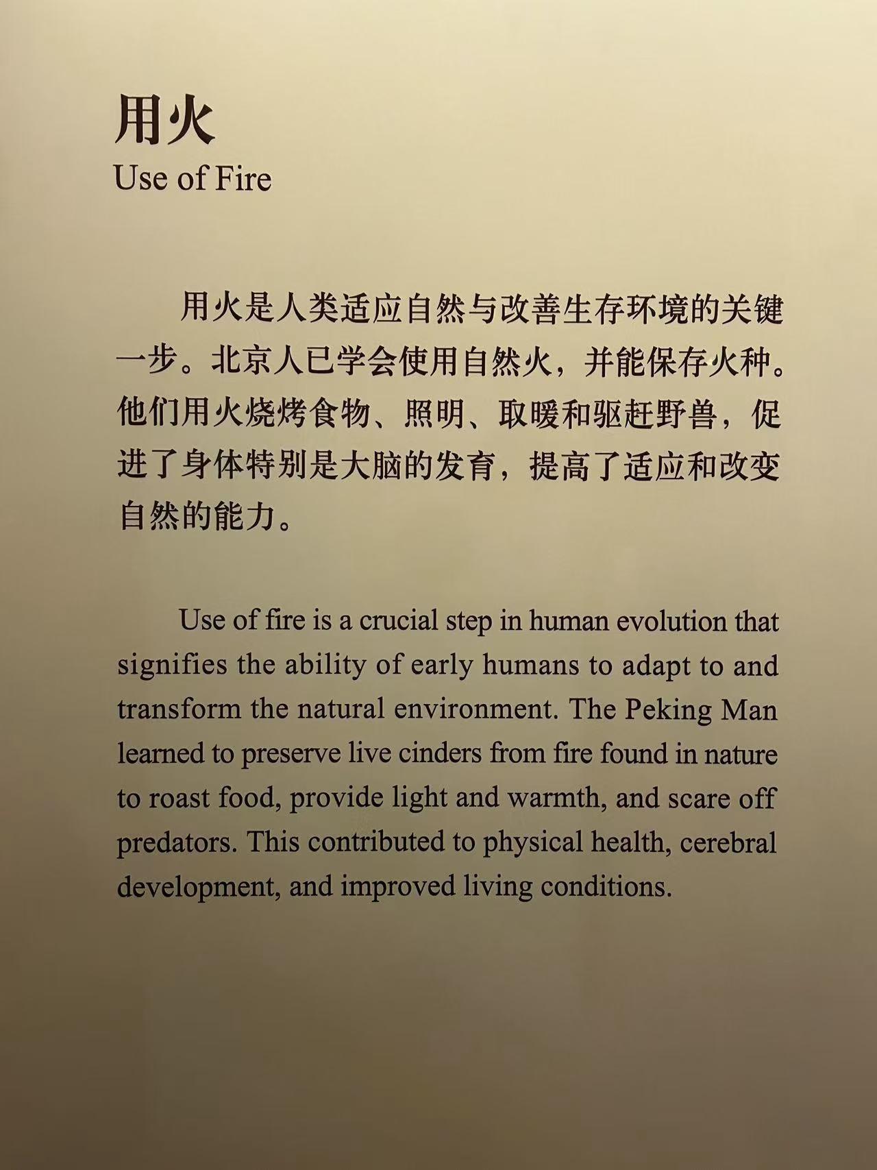 【北京游记】中国国家博物馆：中国古代基本陈列（一）远古时期 - 知乎