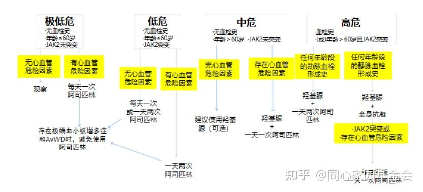专家讲座 | 张磊教授带您了解原发性血小板增多症的诊断与治疗(下)