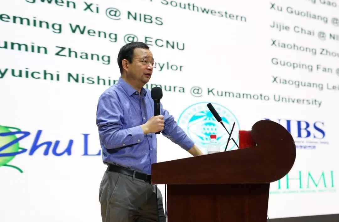 Nature|朱冰组首次在体内证实DNMT1可作为起始性DNA甲基转移酶,揭示卵子发生过程中DNA甲基化模式建立的机制—专家点评 - 知乎