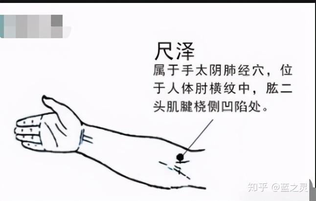 1,肺经——尺泽穴尺泽穴,有清宣肺气,泻火降逆的功劳,对腹胀,咽喉不适