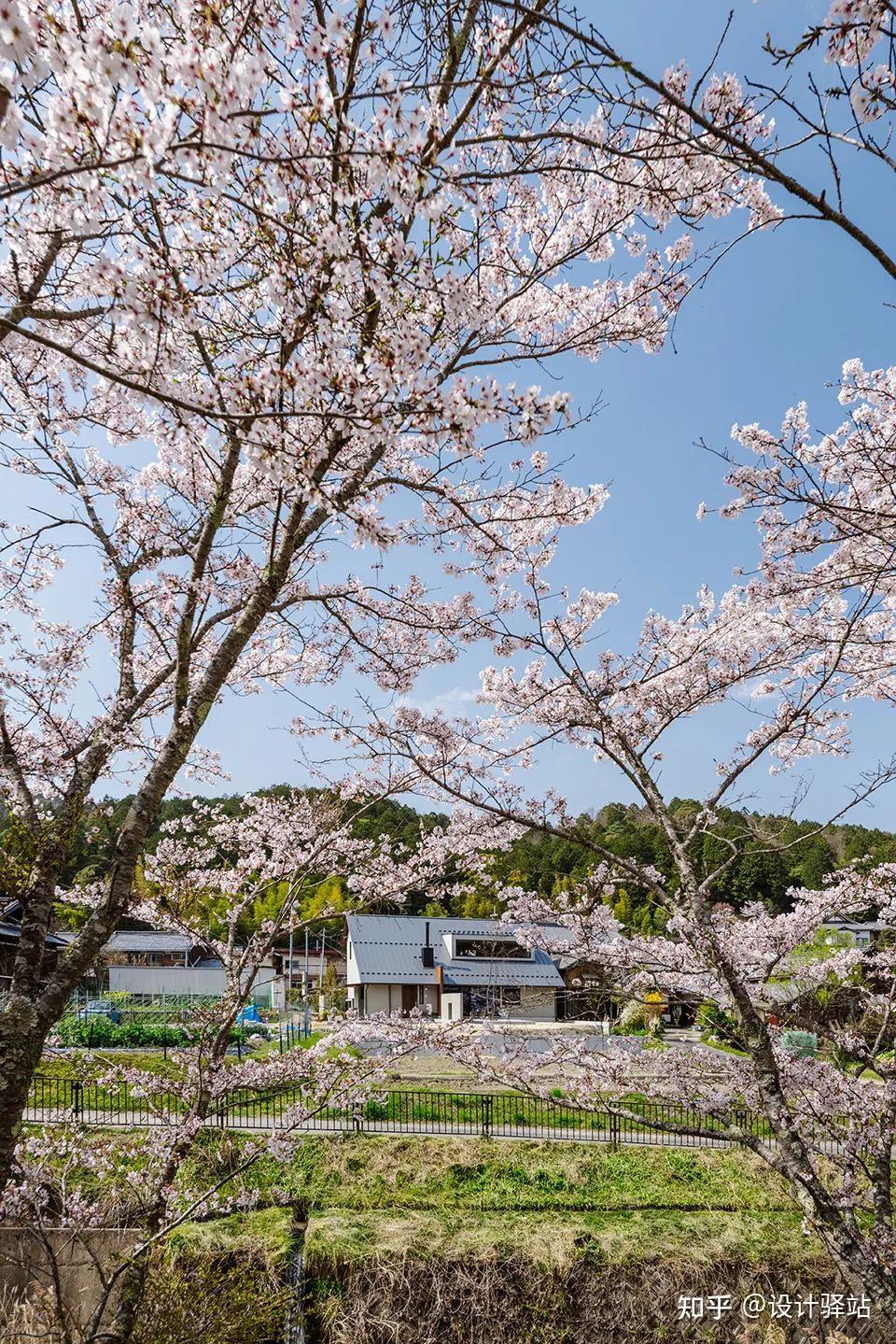 日式花园住宅丨安静的日式美学 - 知乎