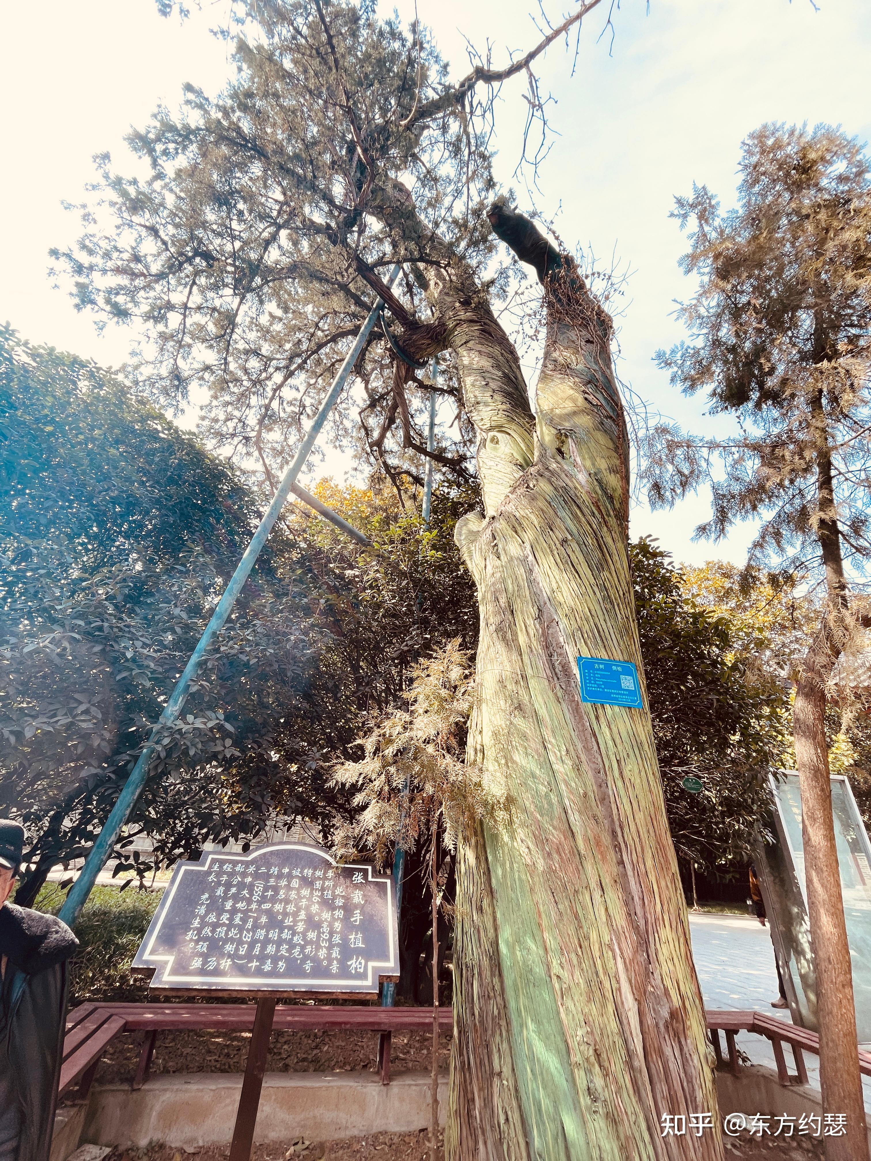 人文旅游行记-横渠书院