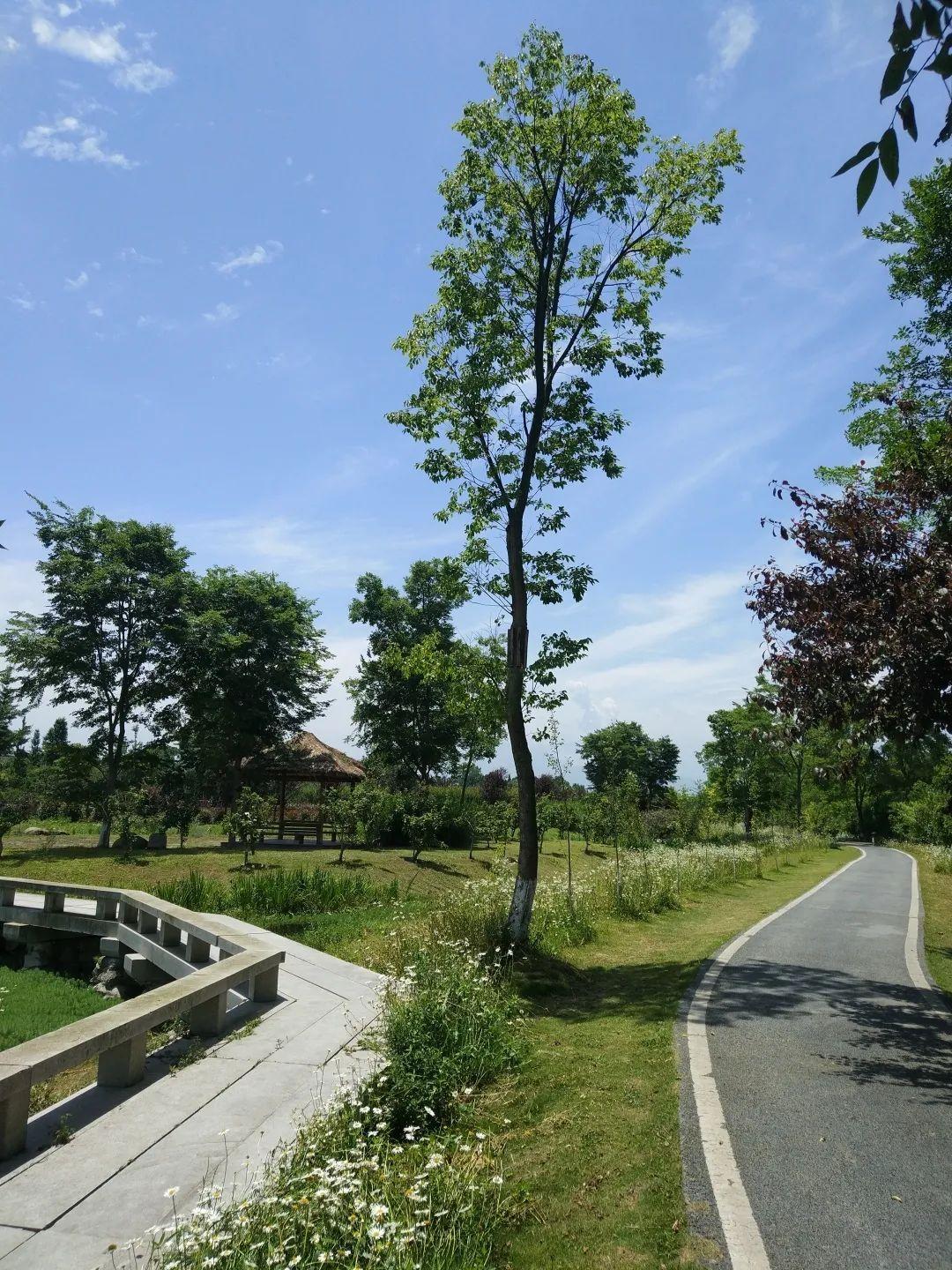 湿地公园很早以前(13,14年)我曾经从营门口出发沿府河骑行至三道堰