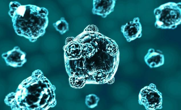 v2-087fb12bfb3d733f14361de3610fb0df_1440w.jpg?source=172ae18b