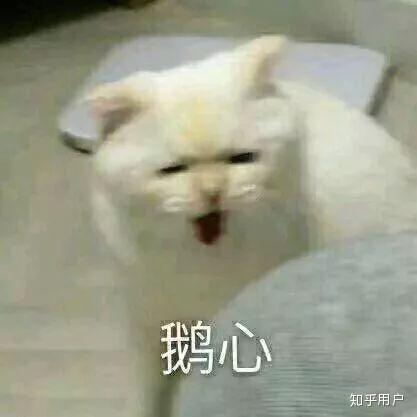v2-0889828d20f880c642012591ce4c4ac5_b.jpg