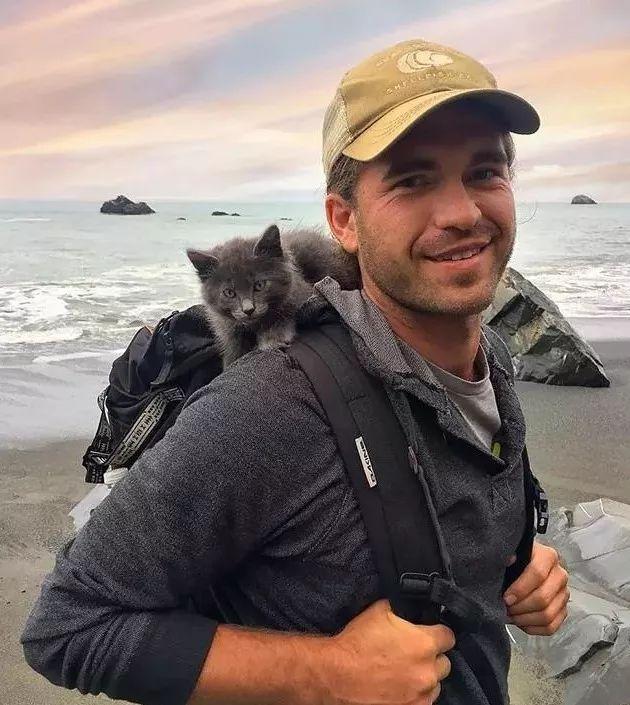 为什么养猫的男人值得当老公?