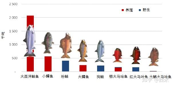 18年三文鱼养殖产业指南 中文版 知乎