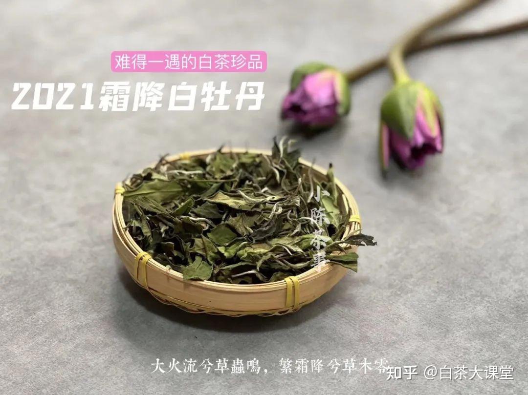 趁热闻盖香VS冷后闻叶底,白茶闻香原来学问这么多,5点干货满满 - 知乎