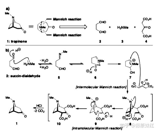 The Art & Science of Total Synthesis - 知乎