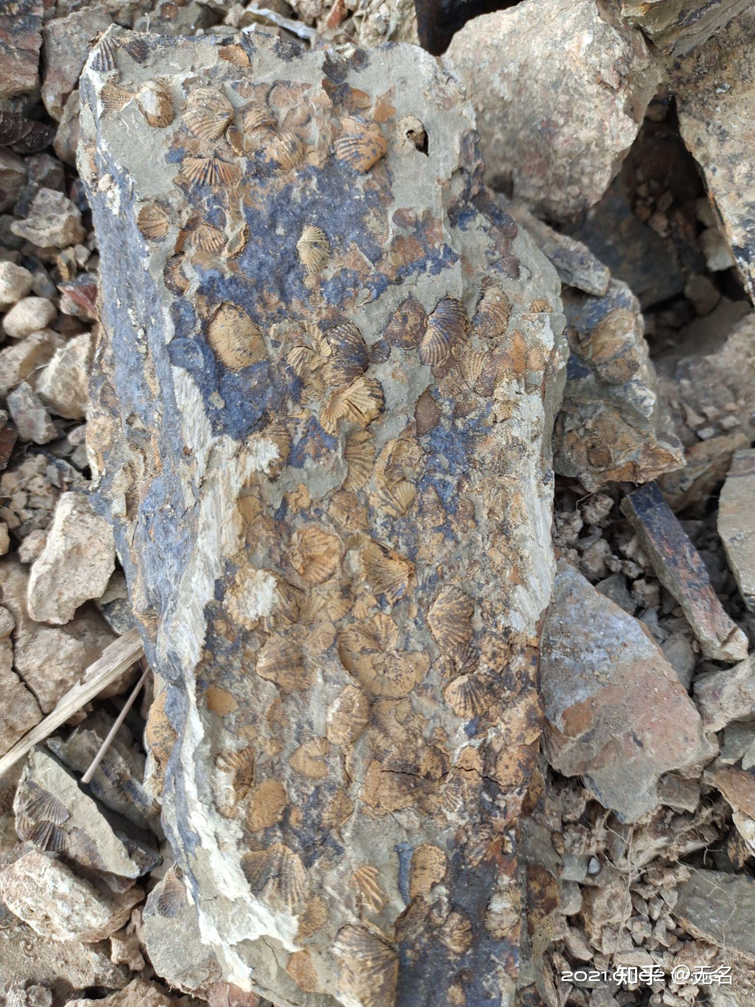 中国科学院的考研再次证实了原曾先生关于地球原本只是一滴水的文章