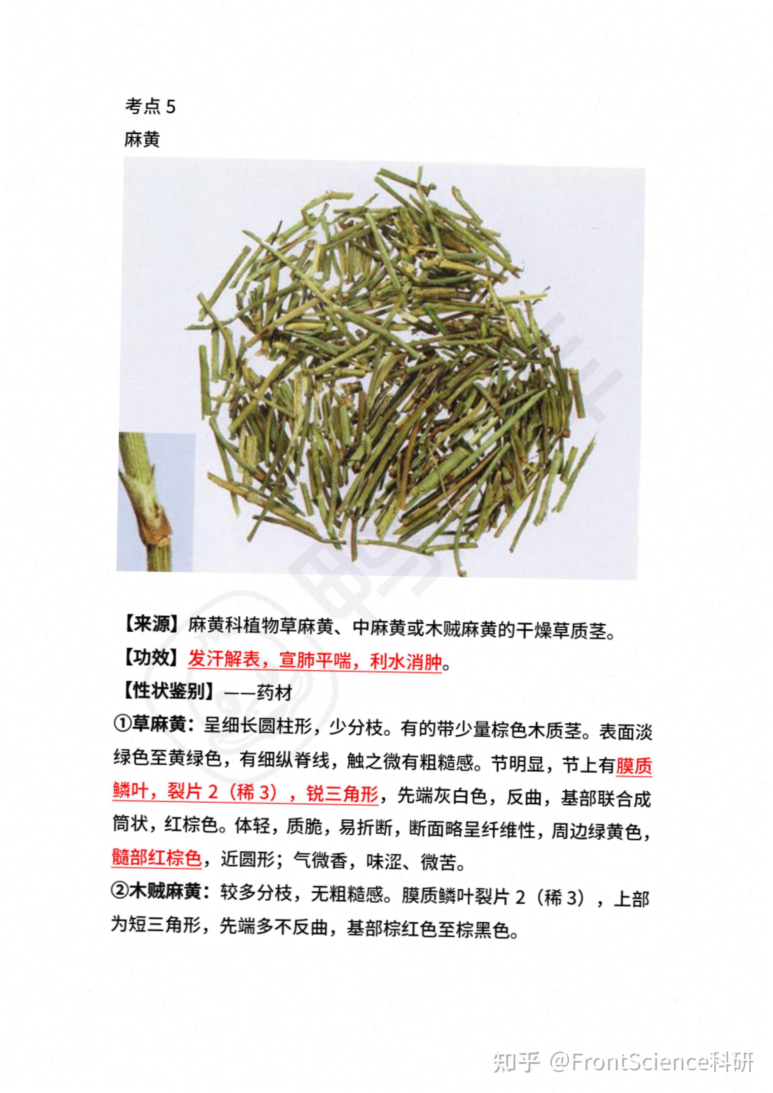 中药执业药师_中药图鉴 - 知乎
