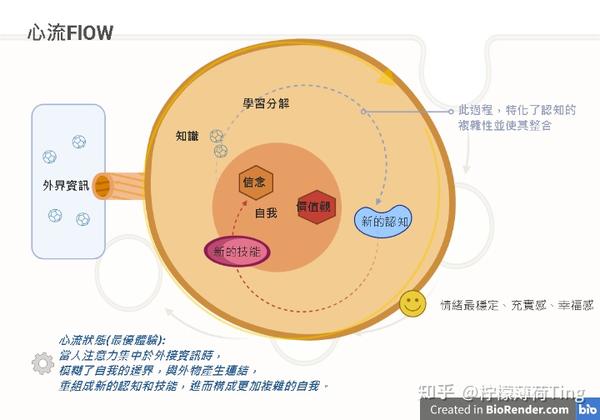 一文看懂「心流」:高手都在研究的最优体验心理学 - 知乎