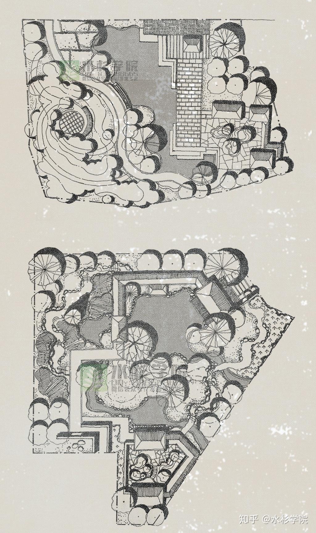 湖北籍学生免费学习!已认证账号水杉学园