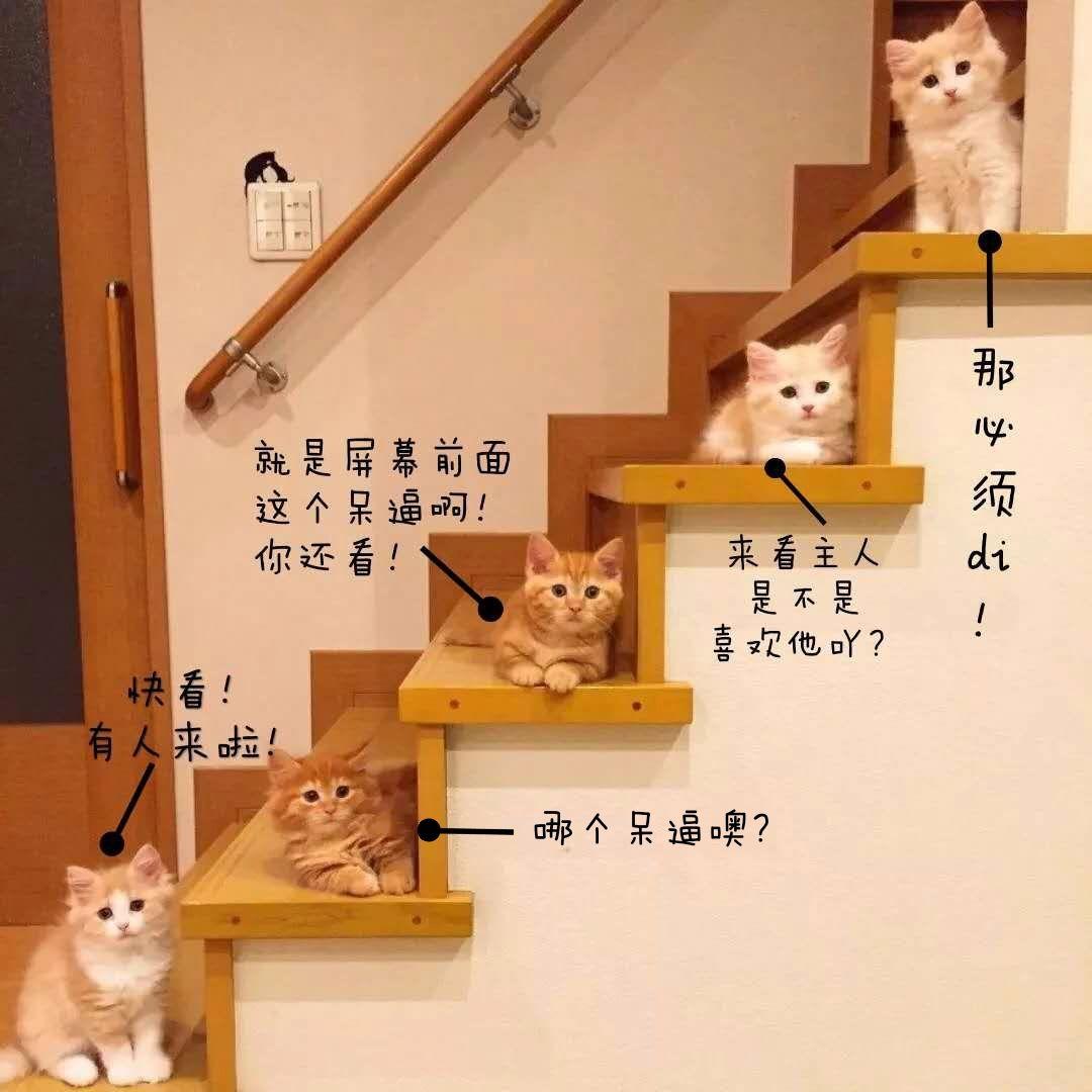 你用过哪些有趣或有意义的微信朋友圈背景图
