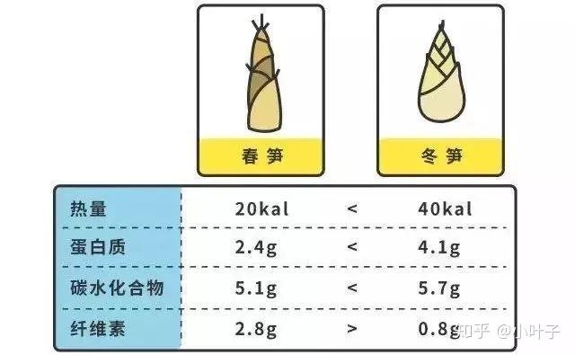 食谱正是春笋尝鲜时附上超美味的春笋做法