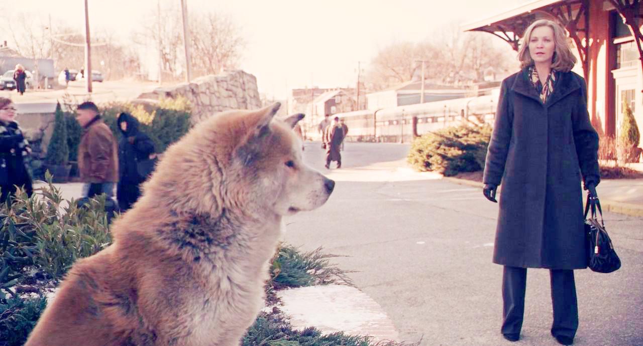 《忠犬八公的故事》:忠诚与爱 知乎