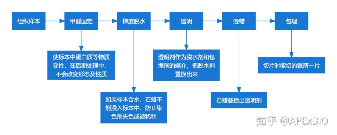 干货分享 | 一文带您全面了解FFPE样本 - 知乎