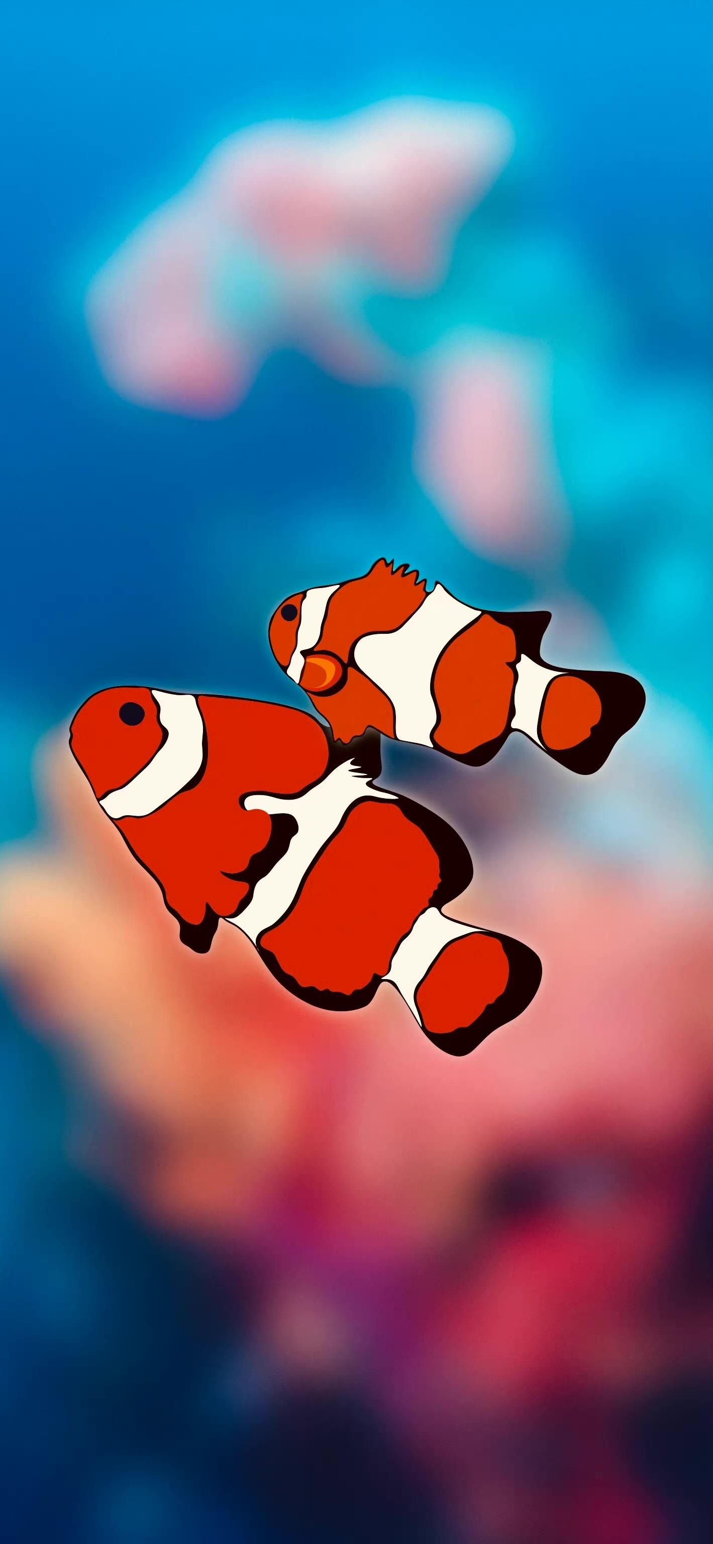 小丑鱼壁纸 - 知乎