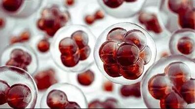 v2-091988718458195440b2f1f76facd49c_1200x500.jpg