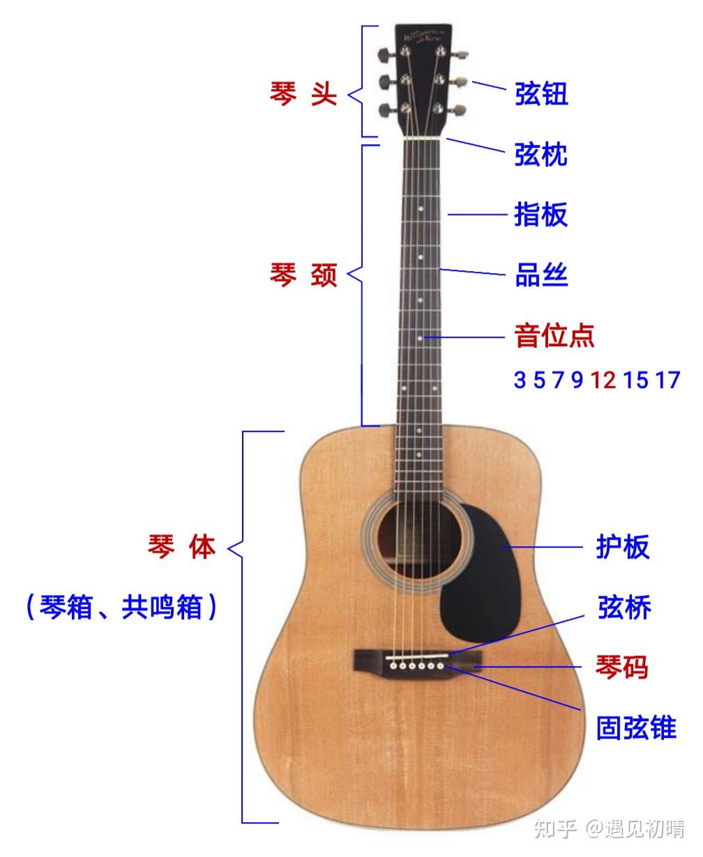 吉他结构介绍图部位图片