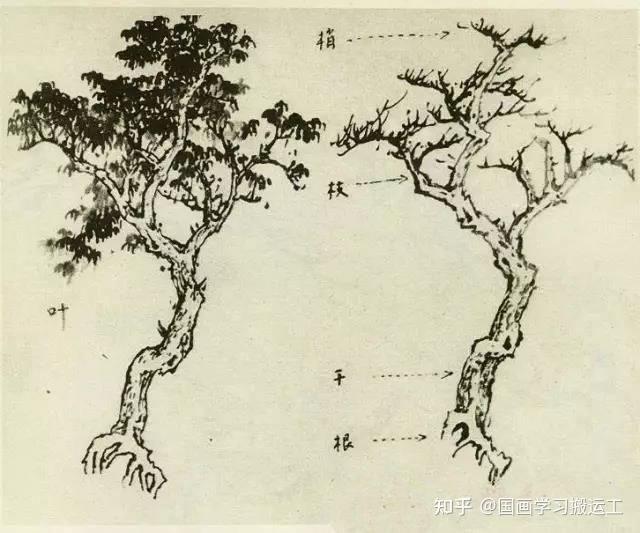 国画基础教程:树的画法(一) - 知乎