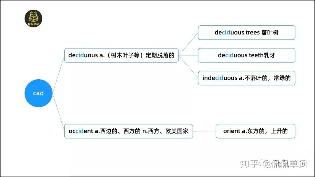 侃侃單詞詞根詞綴記單詞cadcascid