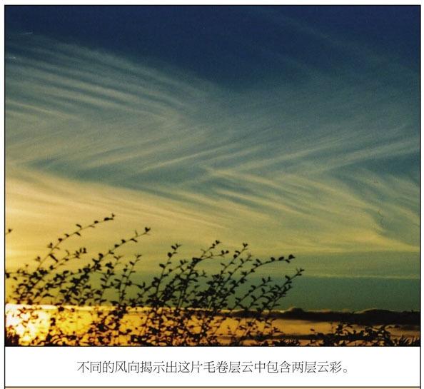 风吹云成花云翻涌成夏云彩收集者手册