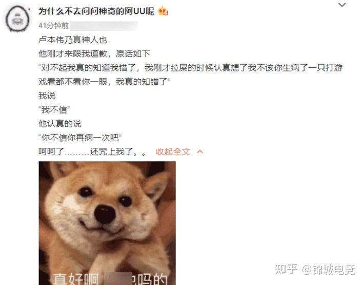 十年爱情长跑无缘而终?知情人爆料:五五开分手了! - 知乎