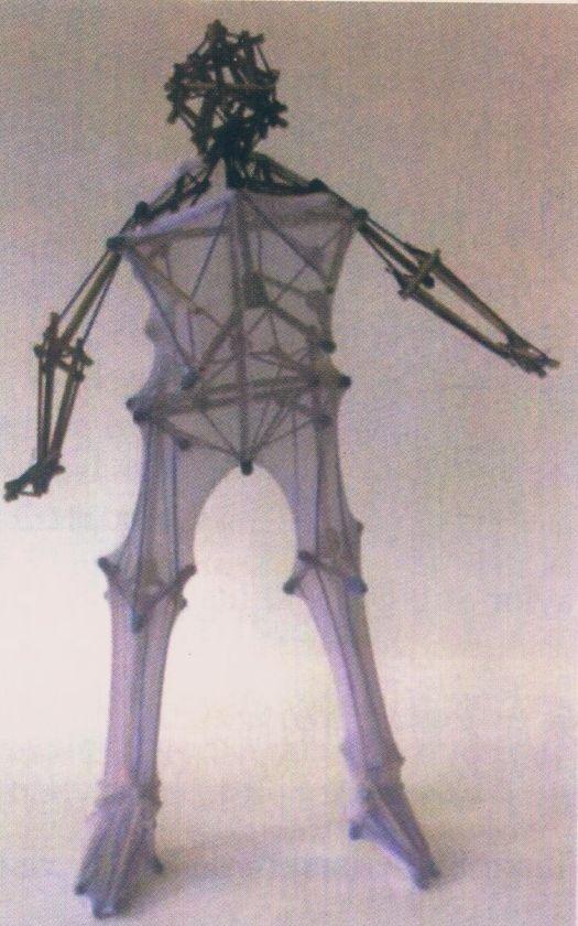 解剖列车阅读笔记2---人体中的张拉整体结构