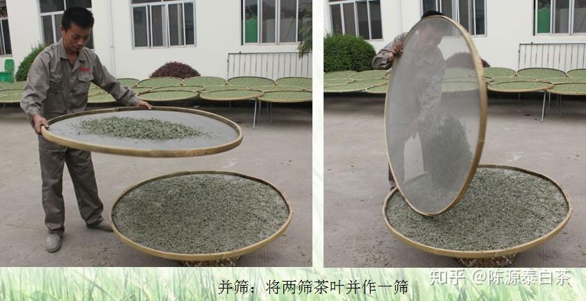 白茶制作工艺很简单是你想的太简单