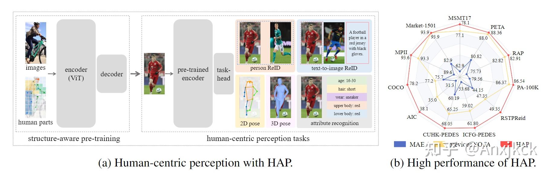 【论文笔记】Unified Human-Centric Model 系列之HAP - 知乎